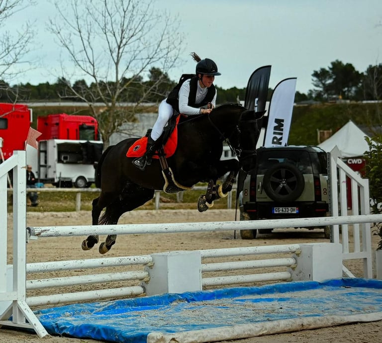 cavaliere qui saute a cheval
