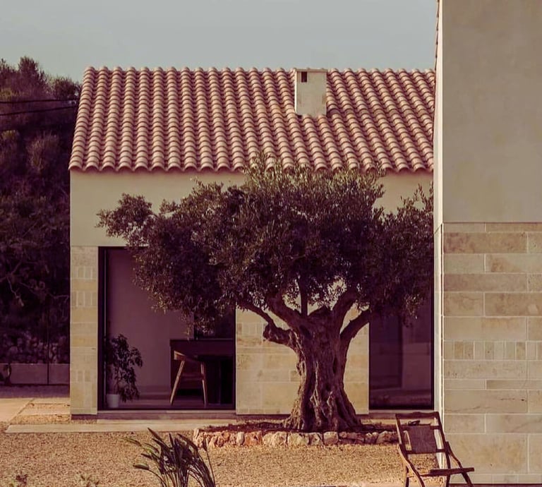 maset i casa de campo con olivar