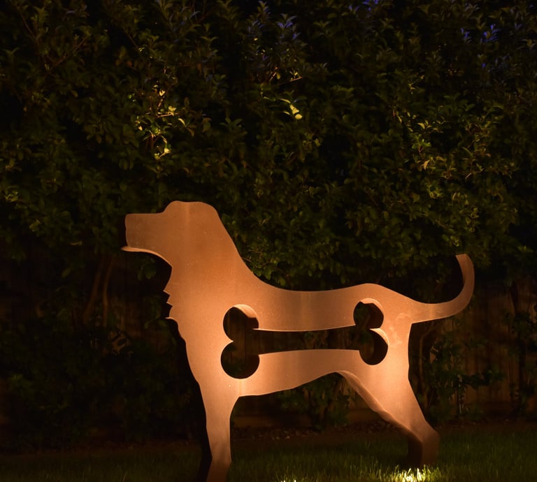 a dog is standing in the grass near a bench with lighting shining on it