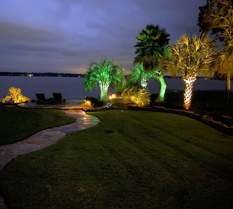 a pathway way with palm trees and lights