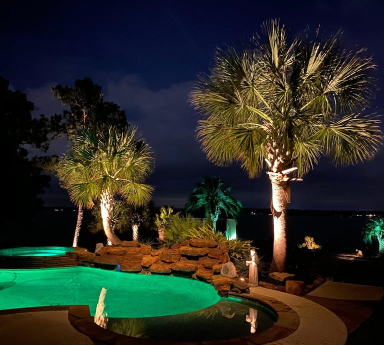 a pool with palm trees and a pool with landscape lighting