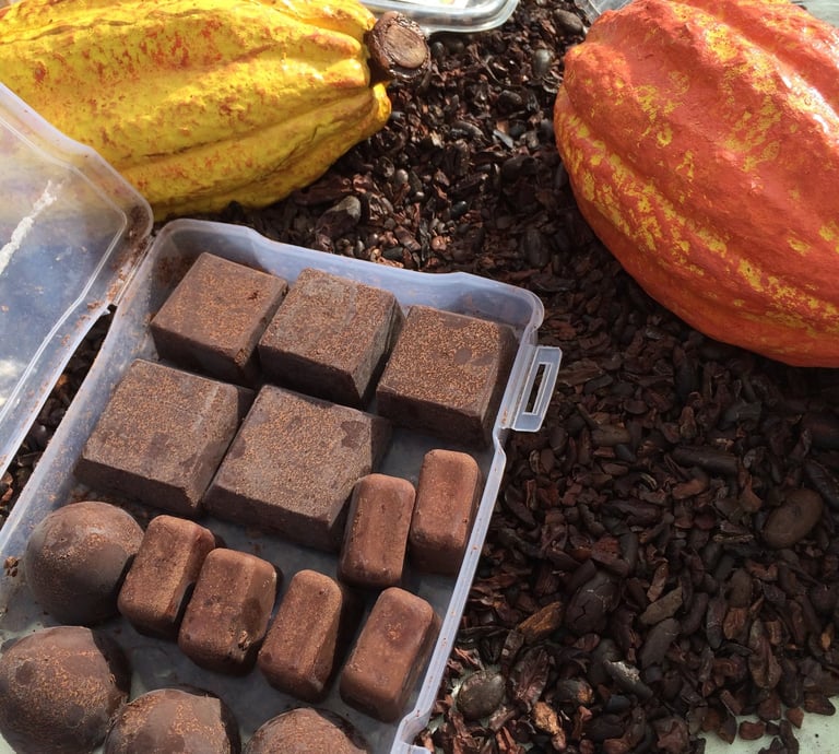 Cacao Paste 100% Cubes