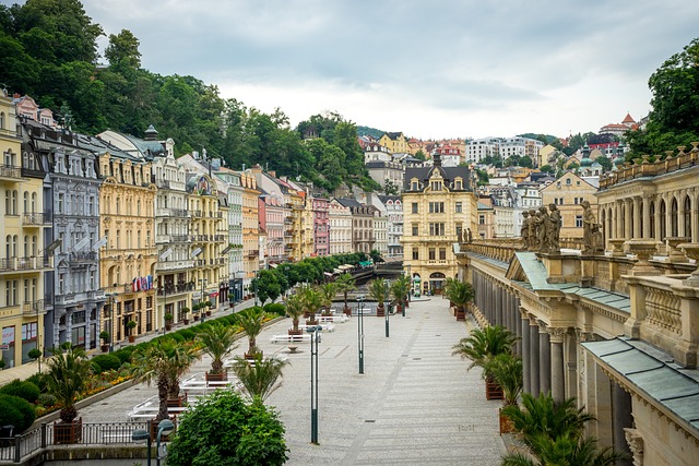 A city street with buildings and trees, showcasing our journey packages.