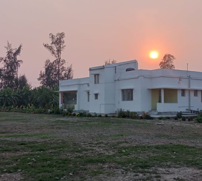 Sunset at Daisy