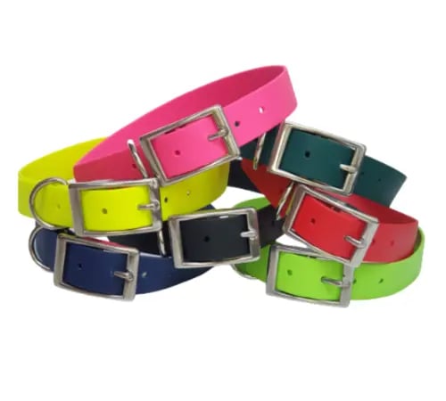 a bunch of colorful dog collars
