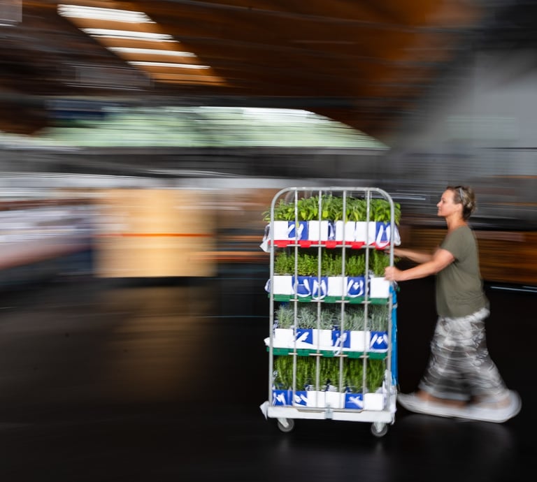 Catering von der Planung