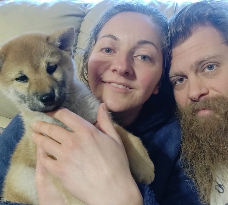 AKC Shiba Inu Puppies for Sale