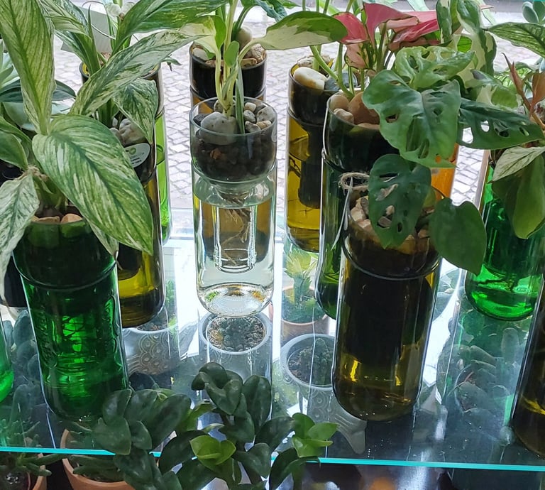 handgefertigte Hydropflanzengläser