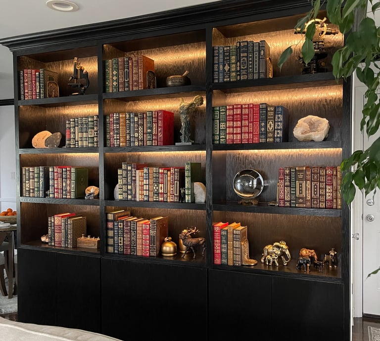 Custom black built-in bookcase with integrated lighting and lower cabinets in a Monmouth County NJ h