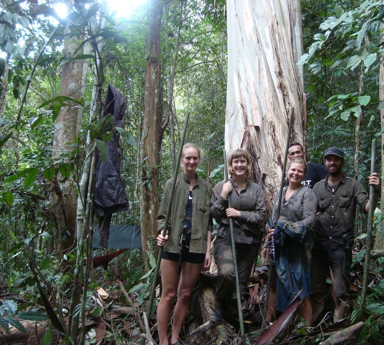 a group of people standing behind a big tree inside the jungle