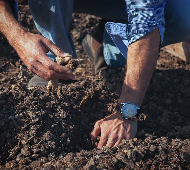 About Matthieu Mehuys | Regenerative Landscape Architect