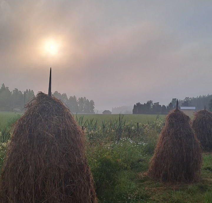 Heinäseipäitä Elonkehdon luonnonläheisessä maalaismaisemassa