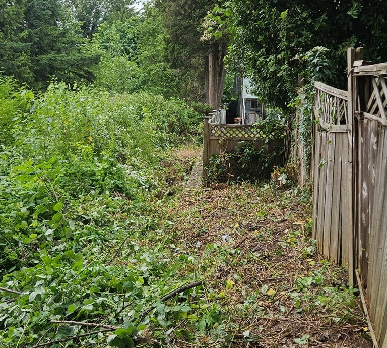 a wooden fence with blackberries having been removed from it