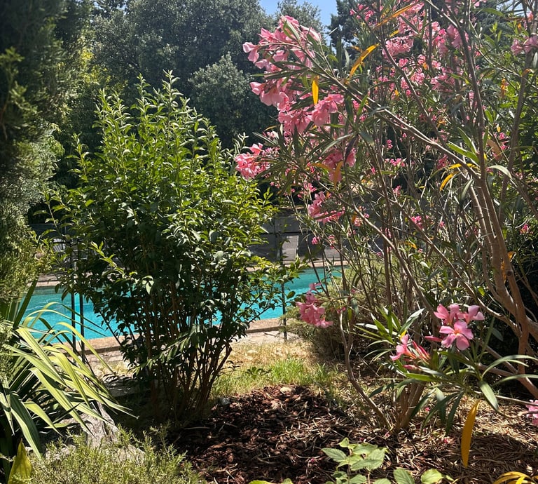Villa avec piscine à Uzès dans le Gard