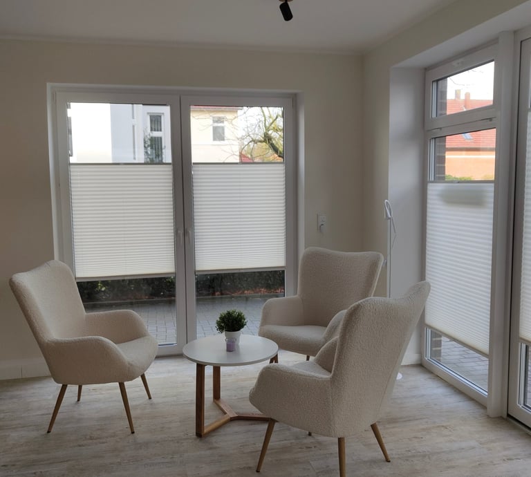 Modernes Wohnzimmer mit stillvollen Plissees