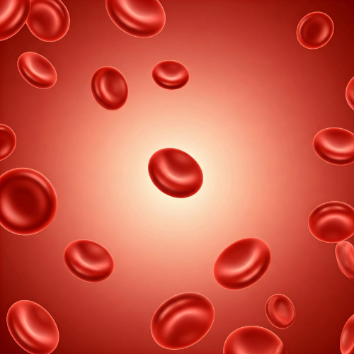 Blood Test home pathology