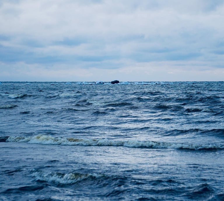 nt brokeris klaipedoje