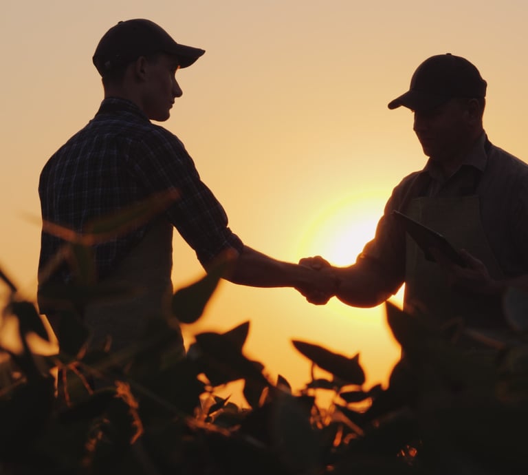 Cannabis growers and dispensary partners shaking hands