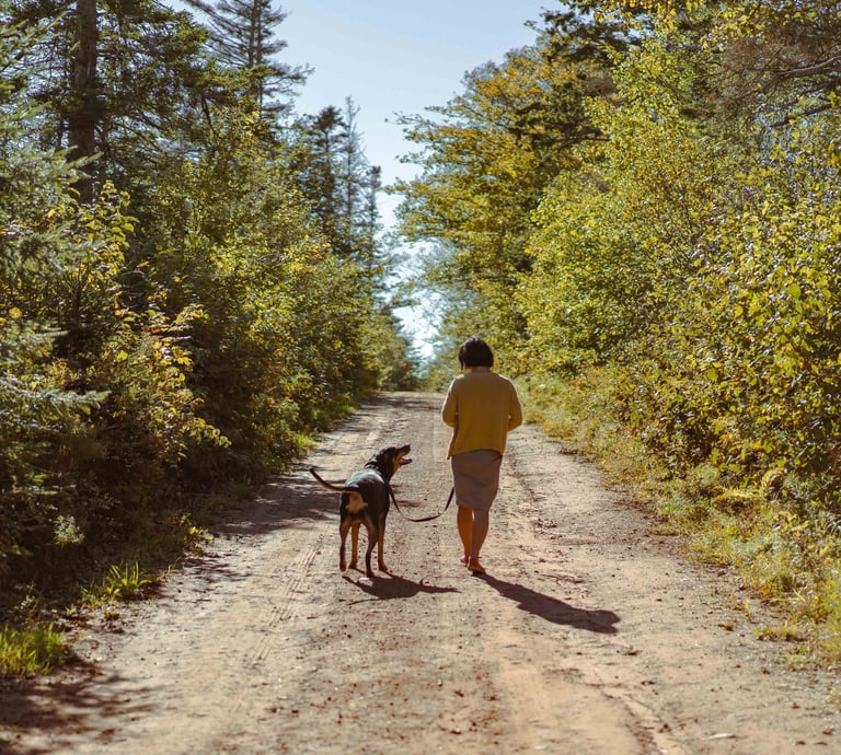Walking with dog in the trail. 