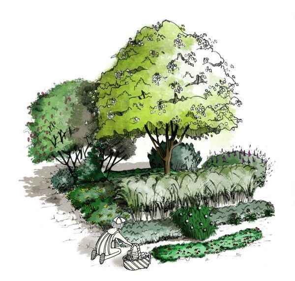 Cueillette de légumes perpétuels en forêt-jardin comestible 