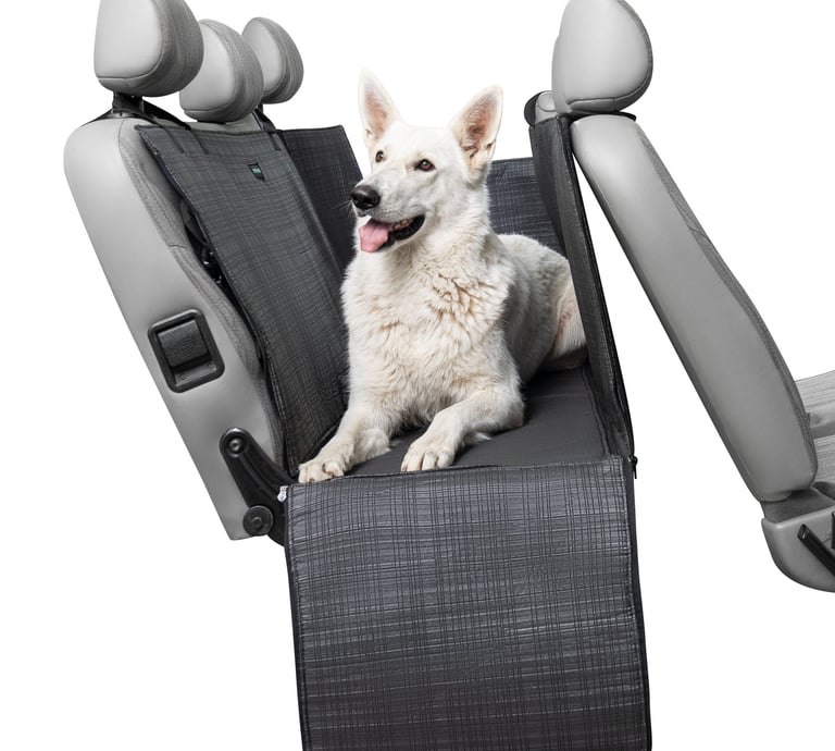 prekės šunims internetu BETABORA