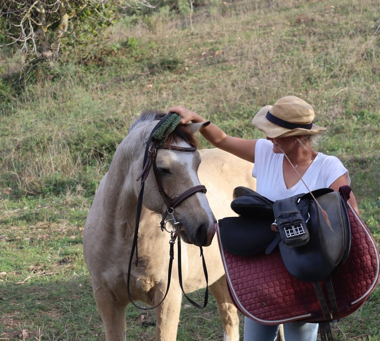 Pferd und Reiterin beim Training in der Sonne Mallorcas