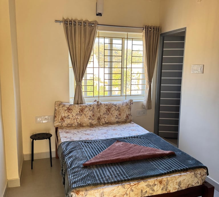 Budgeted Deluxe Room