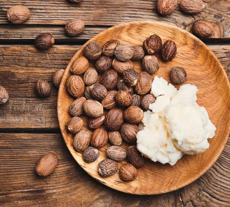 Raw shea nuts alongside smooth, creamy, unrefined and organic shea butter from Uganda, EastAfrica