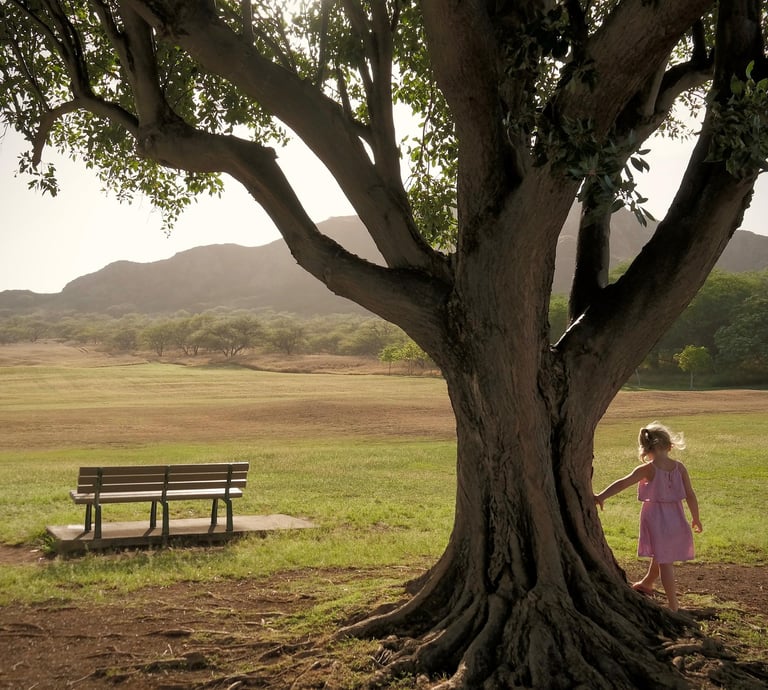 3 Year old girl, in pink dress, playing around a large tree with huge roots.