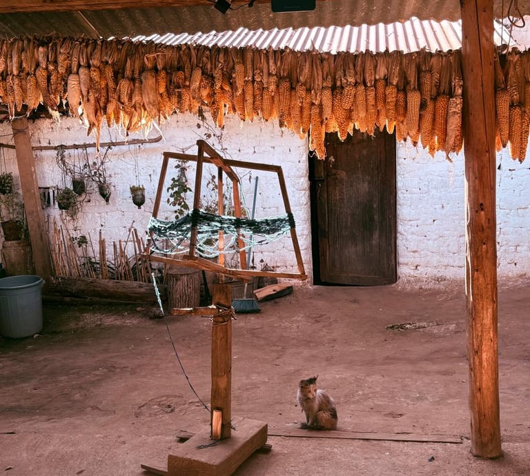 LUGAR DONDE NACEN LAS PIEZAS