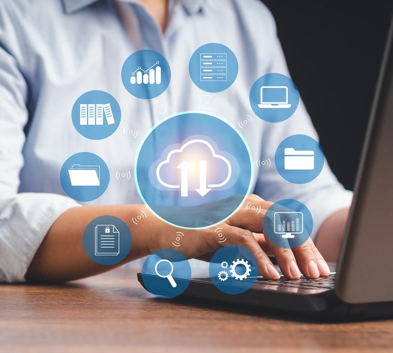 servicio software