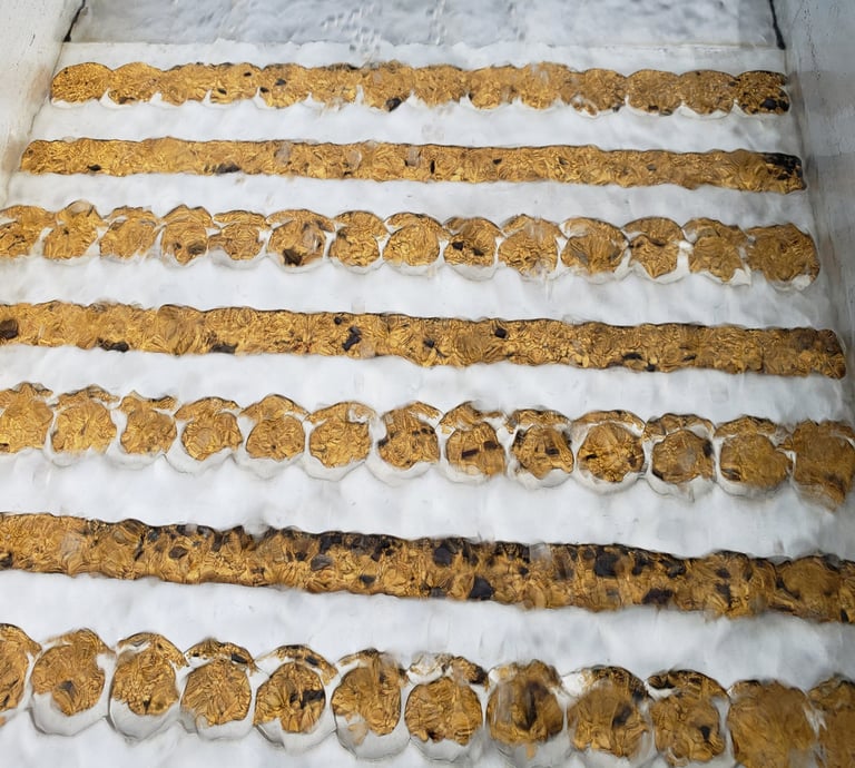 Gold in a VDR sluice