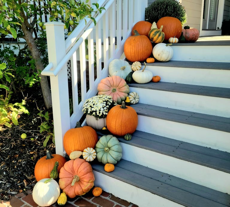 a bunch of pumpkins and gourds on a porch