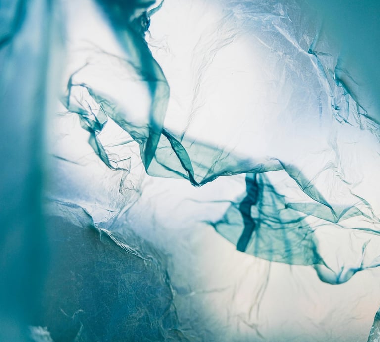 a plastic bag floating in the sea