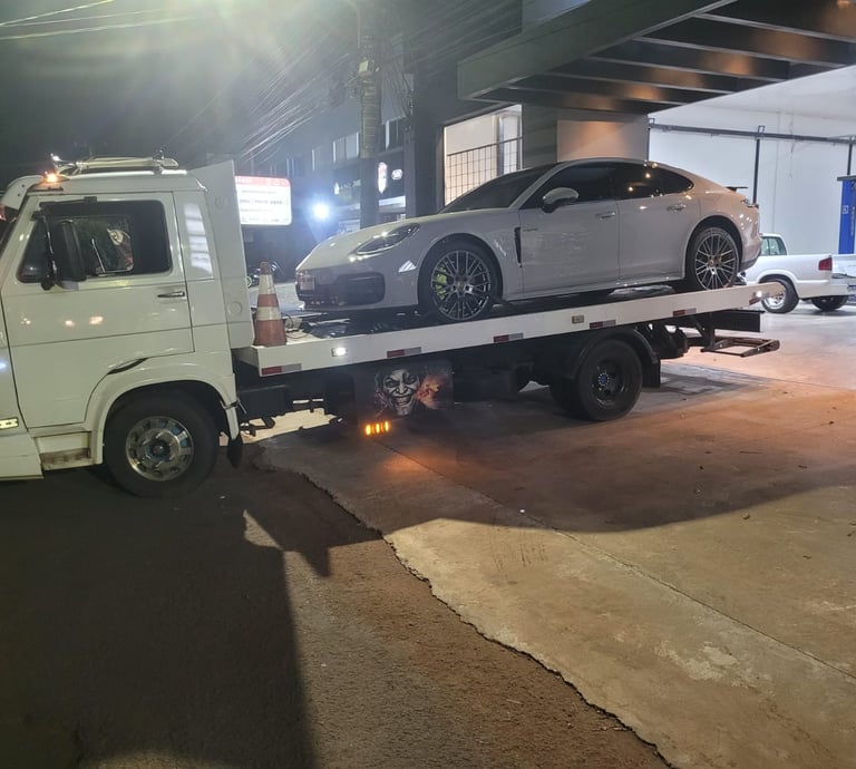 Guincho campo grande