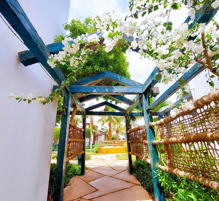 DELTA 1 bedroom first floor private entrance balcony on pool SHARM EL SHEIKH PROPERTY FOR RENT