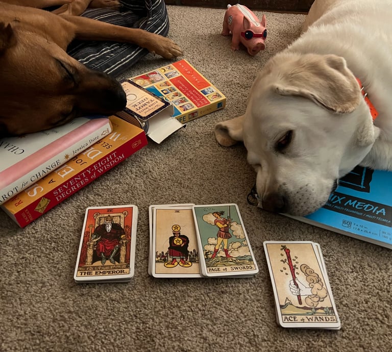 tarot and dogs
