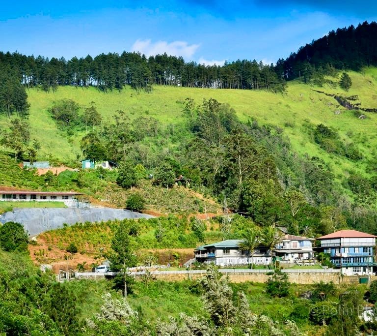 a hillside with a few houses and trees
