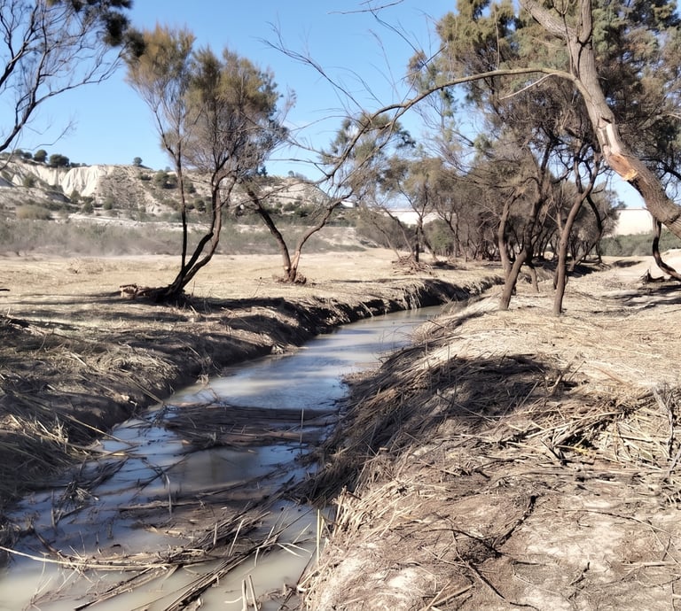 Imagen del antes y después de la recuperación del río Mula
