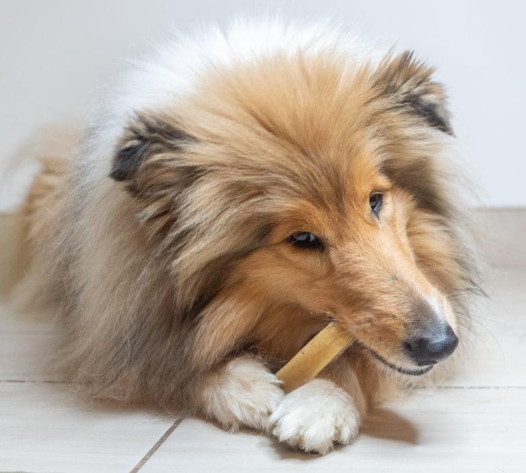 fromage de l'himalaya pour chien