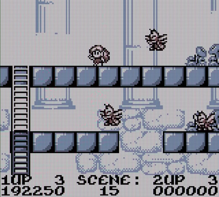 Rodland Game Boy: Rit v. The Bees