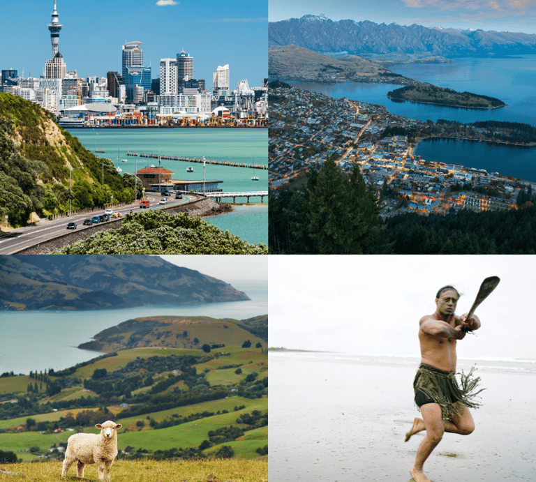 study and work in New Zealand