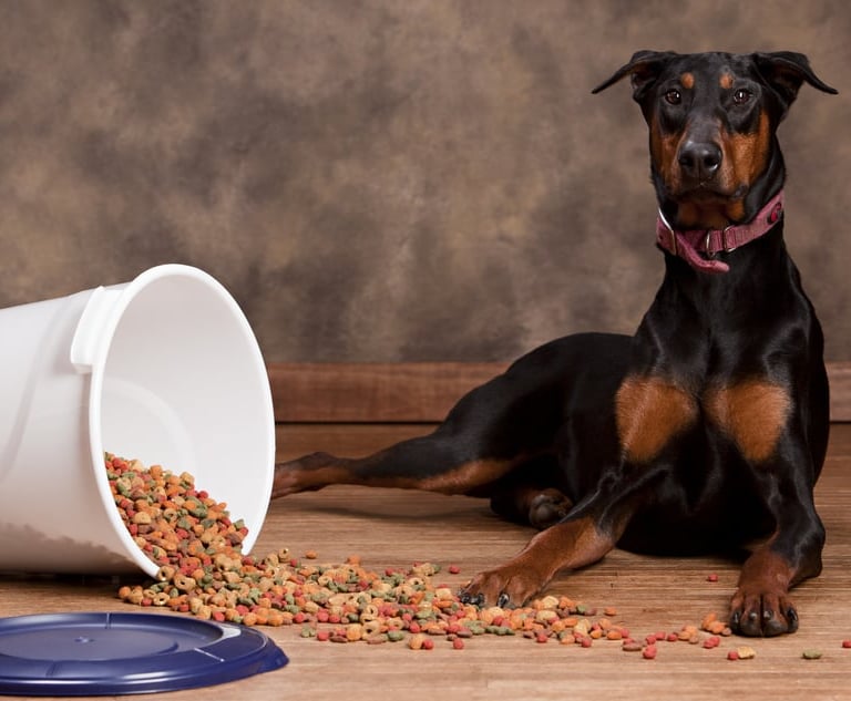 Dobermanfor sale puppies forsale