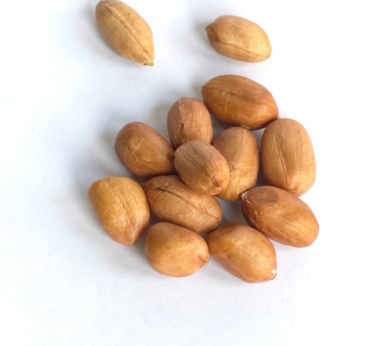 A pile of shelled raw peanuts with skins isolated on a white background.