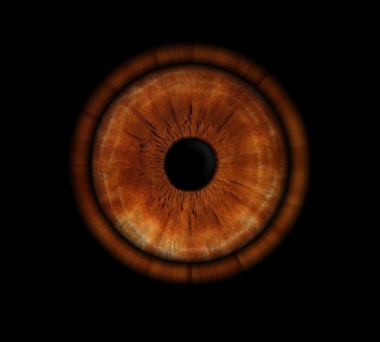 Iris Yeux Marron