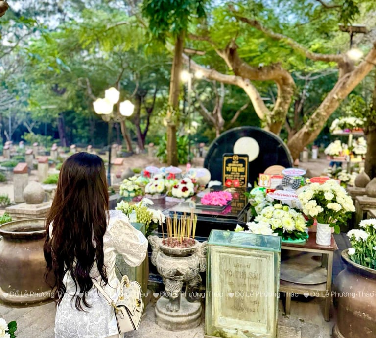 sam-le-co-sau-con-dao-chi-tiet