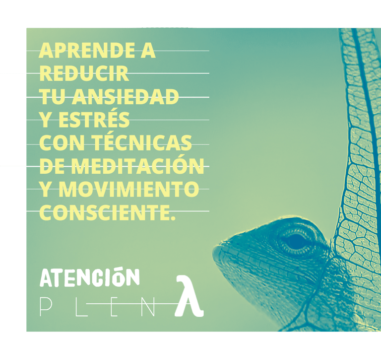 Aprende a recudir tu ansiedad y estrés con técnicas de meditación y movimiento consciente