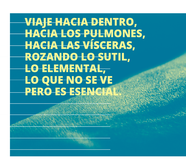viaje hacia dentro, hacia los pulmones, hacia las vísceras, rozando lo sutil y lo elemental