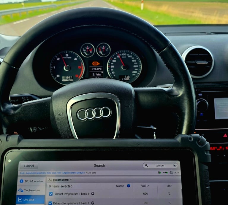 Automobilių diagnostika Vilkaviskyje. Servisas Diagnoteka