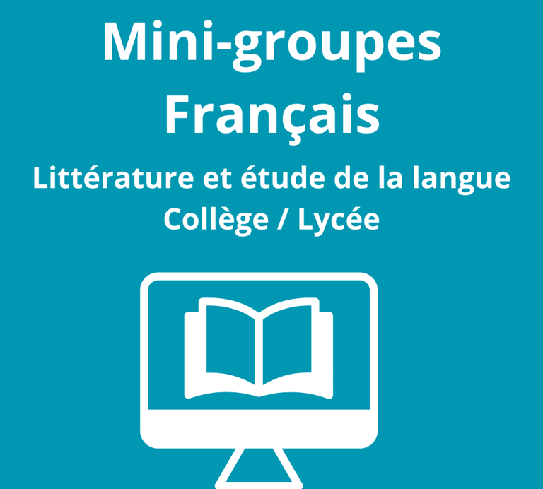 primaire, collége, lycée, soutien scolaire, tarbes, hautes pyrénées, visio , français, littérature